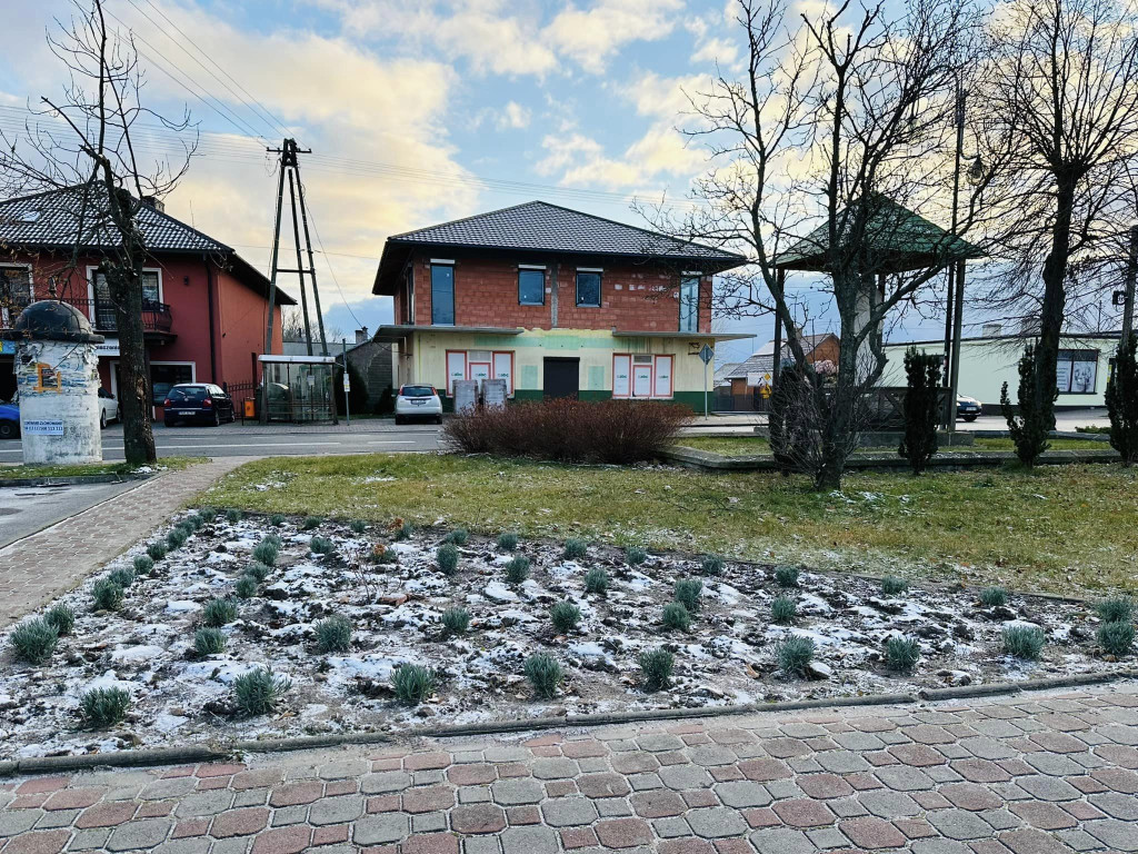 Nowe rośliny zdobią gminę Fałków [zdjęcia]
