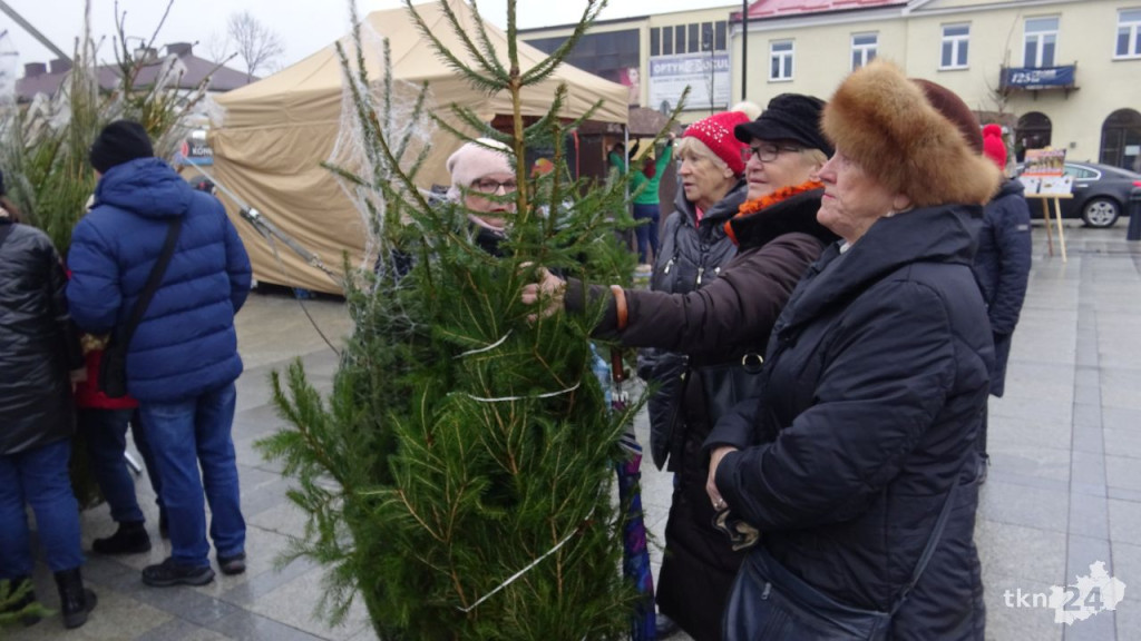 Tłumy po choinki. Jarmark w Końskich w sobotę [wideo, zdjęcia]