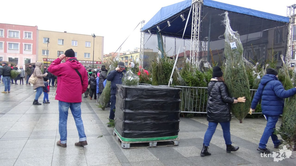 Tłumy po choinki. Jarmark w Końskich w sobotę [wideo, zdjęcia]