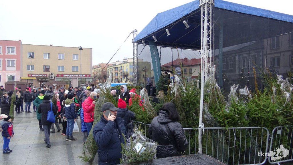 Tłumy po choinki. Jarmark w Końskich w sobotę [wideo, zdjęcia]