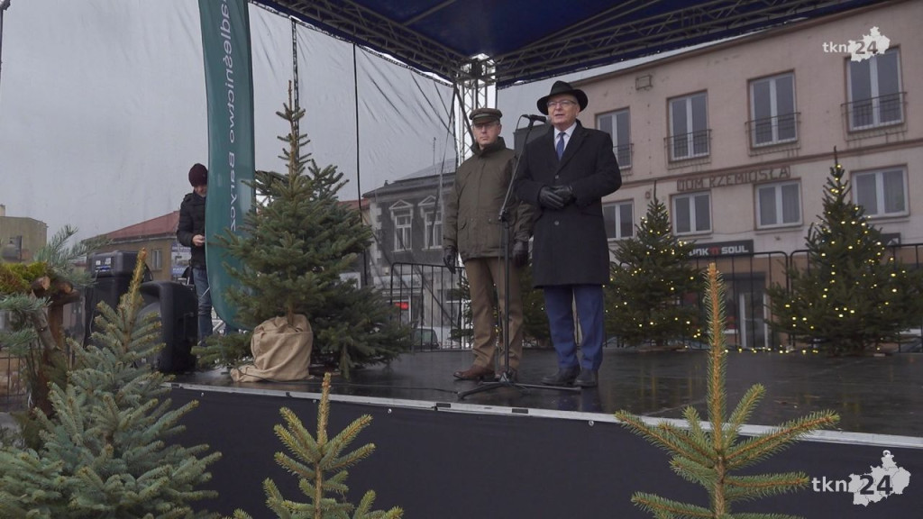 Tłumy po choinki. Jarmark w Końskich w sobotę [wideo, zdjęcia]