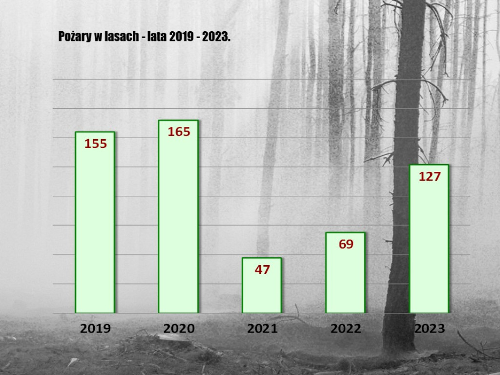 Strażacy podsumowali rok. Mniejsza ilość zdarzeń i pożarów [zdjęcia]
