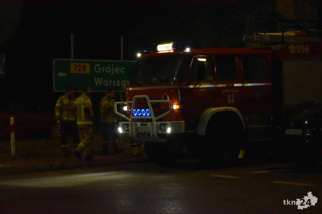 Alpaki i piękne obrazy na 32. Finale WOŚP w Gowarczowie [wideo, zdjęcia]