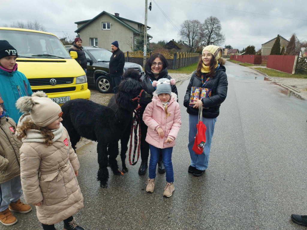 Alpaki i piękne obrazy na 32. Finale WOŚP w Gowarczowie [wideo, zdjęcia]