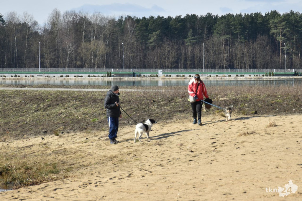 Przedwiośnie 2024 w Sielpi Wielkiej [fotogaleria]