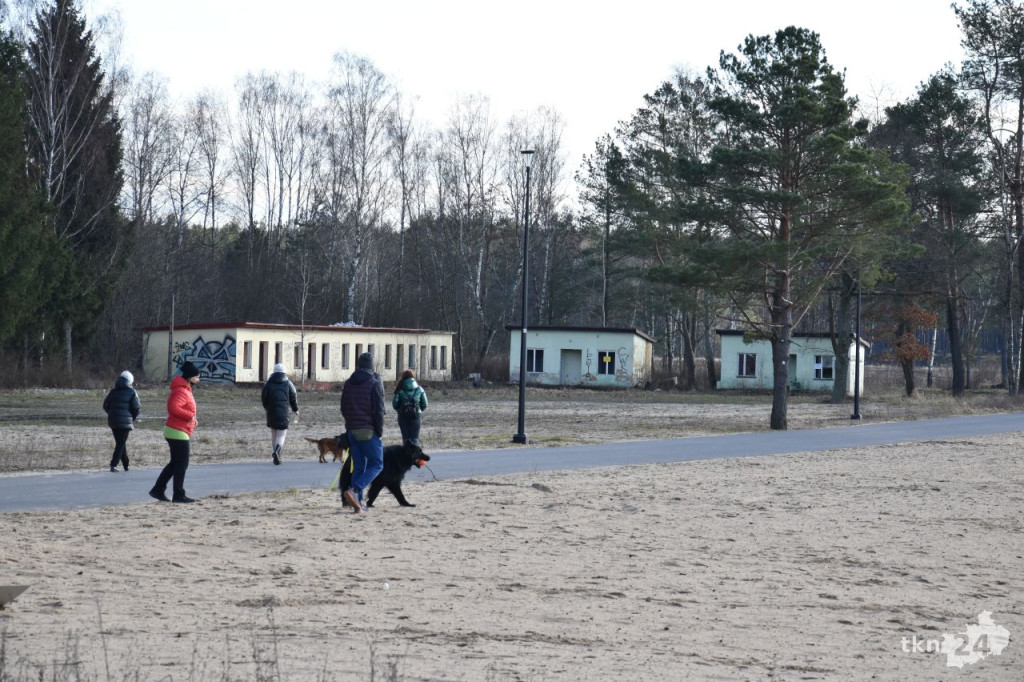 Przedwiośnie 2024 w Sielpi Wielkiej [fotogaleria]