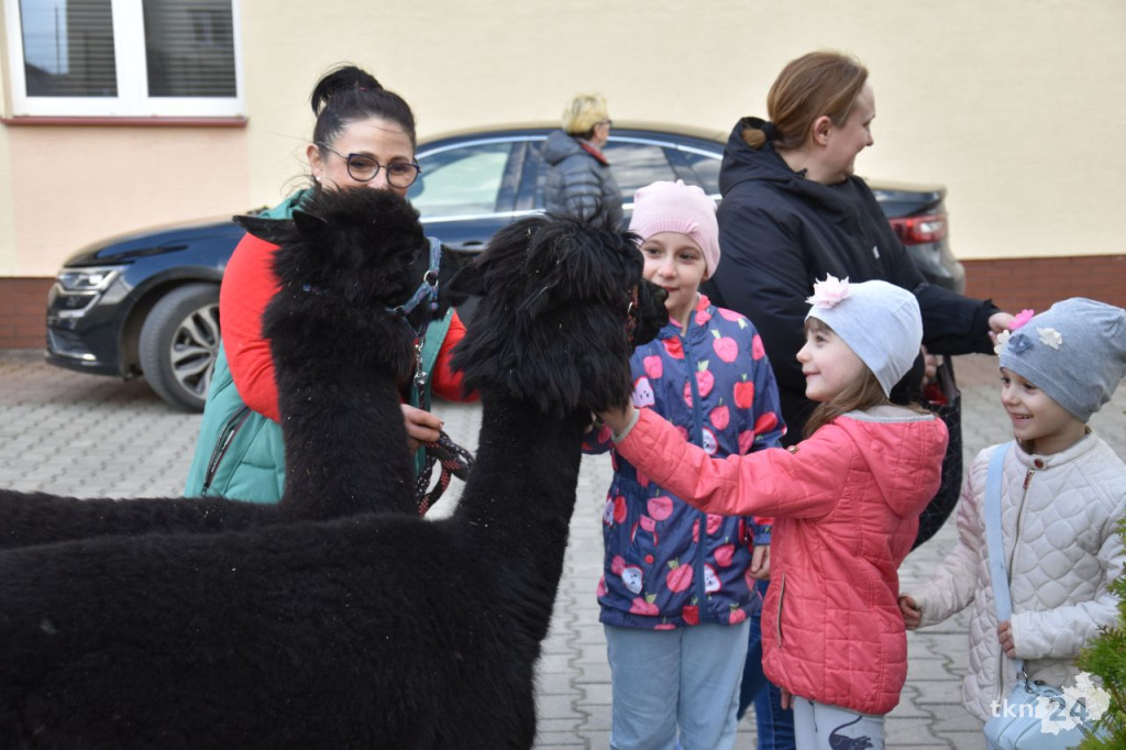 Kiermasz charytatywny dla Ani Polak w Gowarczowie z masą atrakcji [wideo, zdjęcia]