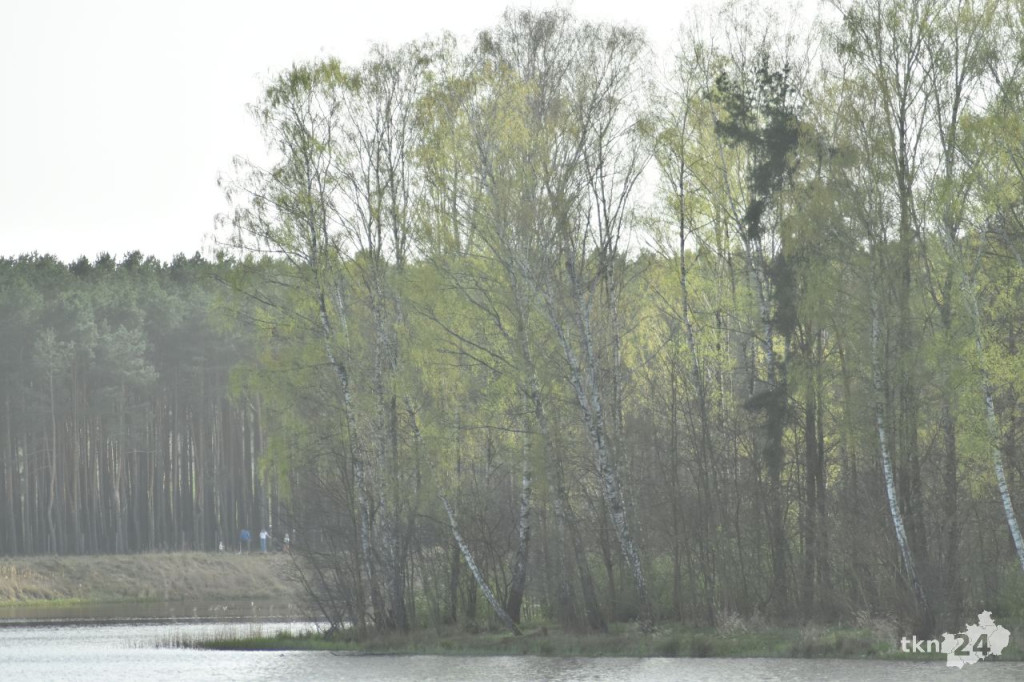 Wielkanocny poniedziałek w Sielpi. Zobaczcie zdjęcia