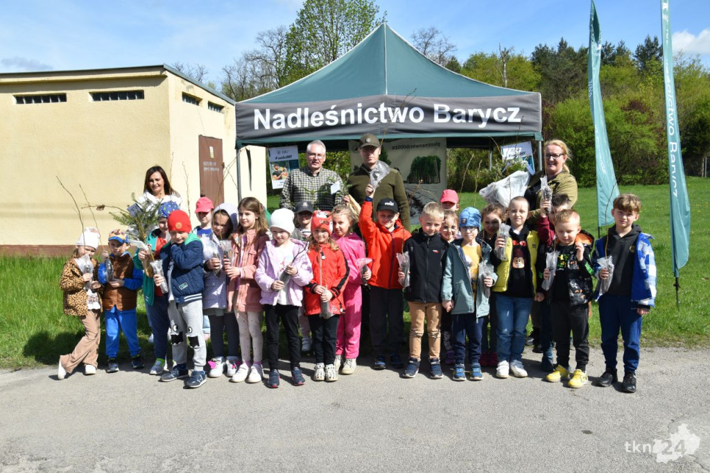 Nadleśnictwo Barycz rozdawało sadzonki drzew [wideo, zdjęcia]