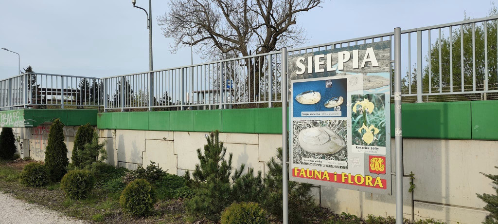 Wędkarze z koła miejskiego w Końskich zaczęli sezon [zdjęcia]