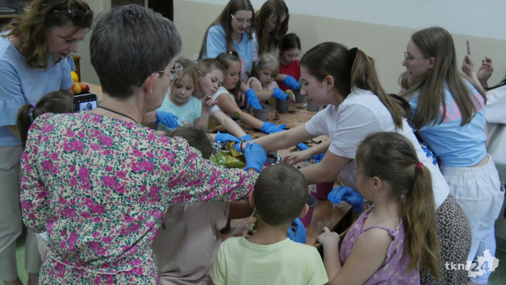 Spacerkiem po Nowym! Dzień otwarty II LO z mnóstwem atrakcji. Poznajcie ofertę tej szkoły  [wideo, zdjęcia]
