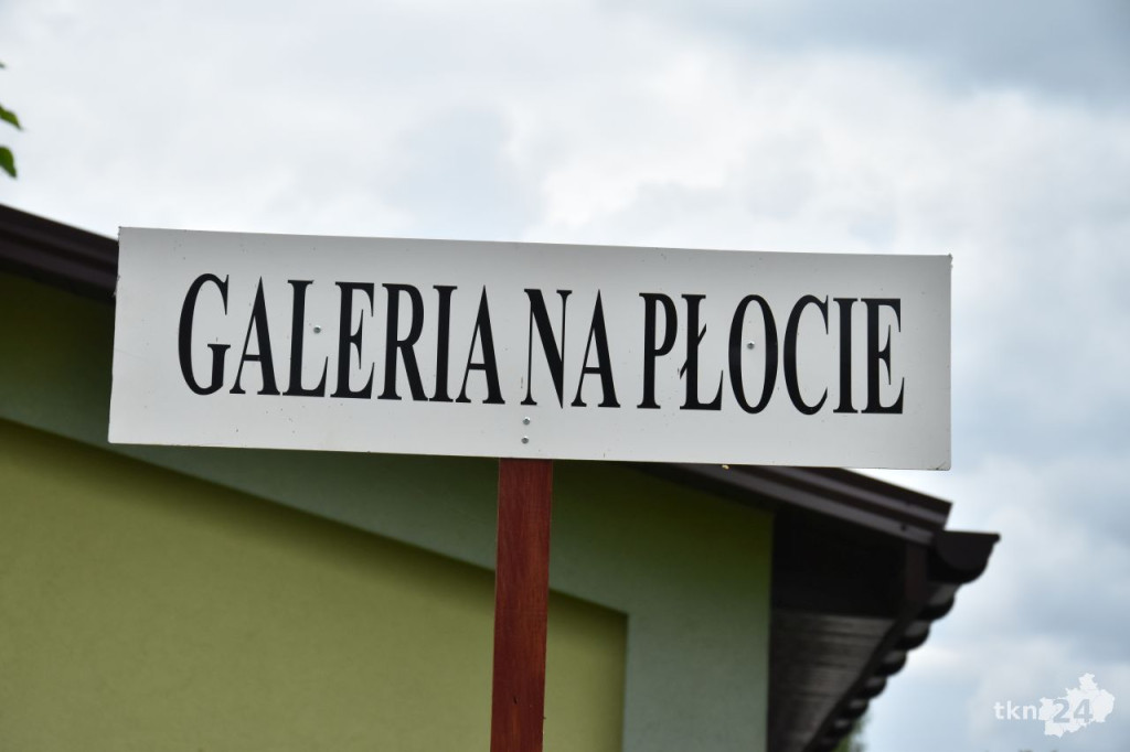 Galeria na Płocie ponownie zaprosiła na wystawę malarską [wideo, zdjęcia]