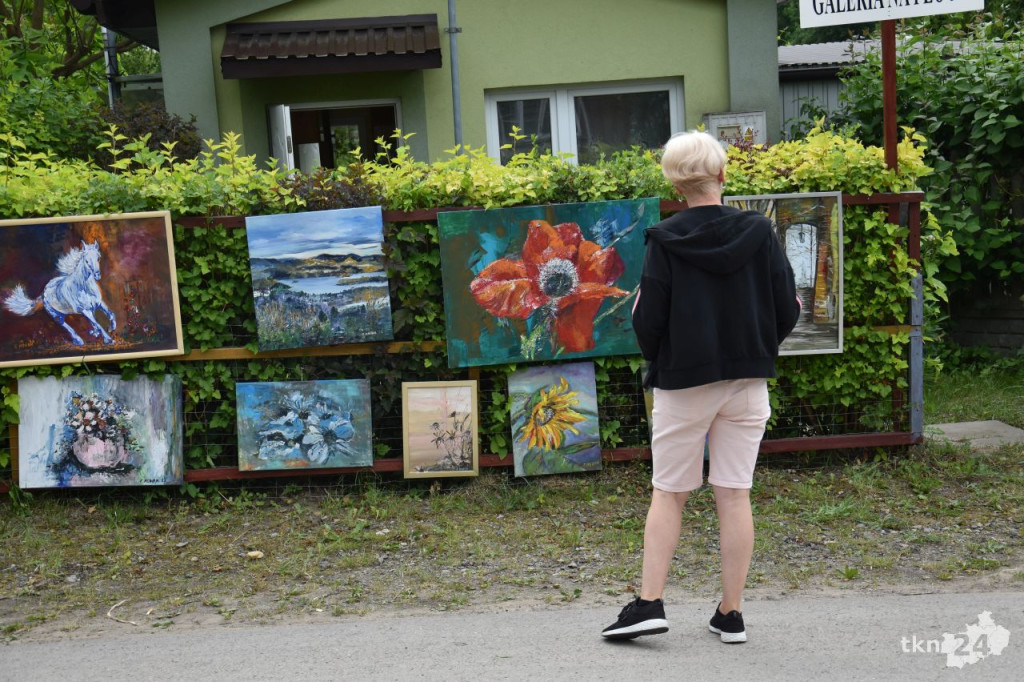 Galeria na Płocie ponownie zaprosiła na wystawę malarską [wideo, zdjęcia]