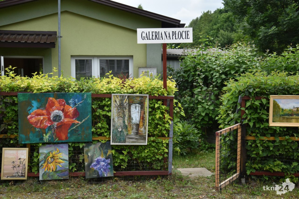 Galeria na Płocie ponownie zaprosiła na wystawę malarską [wideo, zdjęcia]