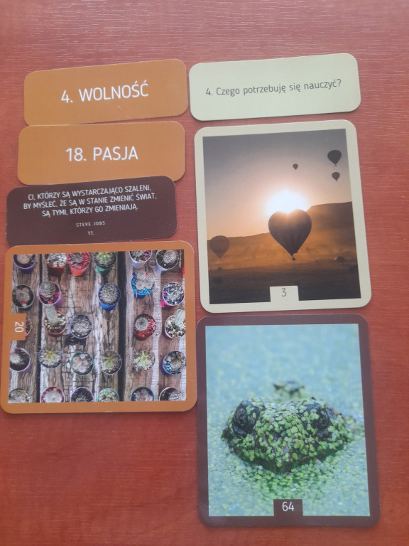 One Stop Shop pomaga młodym bezrobotnym nie tylko z Końskich [zdjęcia]