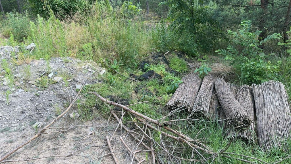 Nielegalne wysypisko śmieci w lesie w gminie Gowarczów. Jak reagować? [zdjęcia]