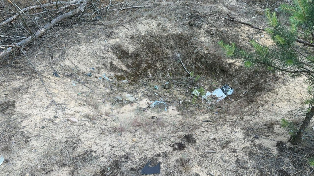 Nielegalne wysypisko śmieci w lesie w gminie Gowarczów. Jak reagować? [zdjęcia]