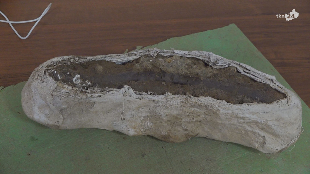 Klub Młodego Paleontologa szukał śladów dinozaurów w okolicach Maleńca [wideo, zdjęcia]