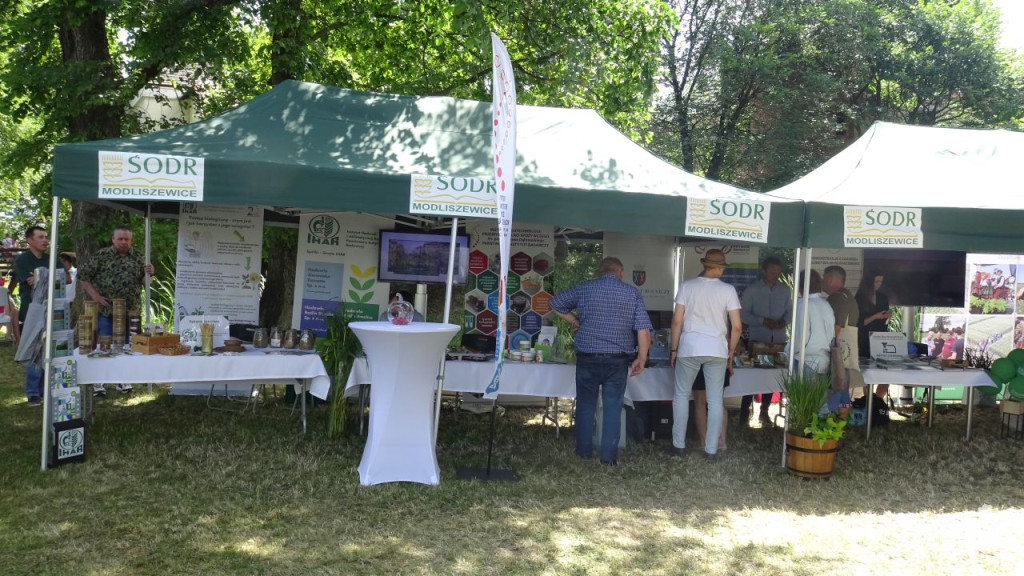 Tłumnie w ŚODR Modliszewice. Za nami dzień otwarty. Poznaliśmy czempiony [wideo, zdjęcia]
