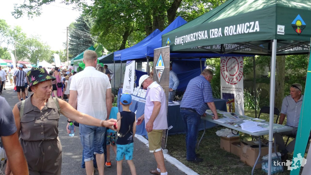 Tłumnie w ŚODR Modliszewice. Za nami dzień otwarty. Poznaliśmy czempiony [wideo, zdjęcia]