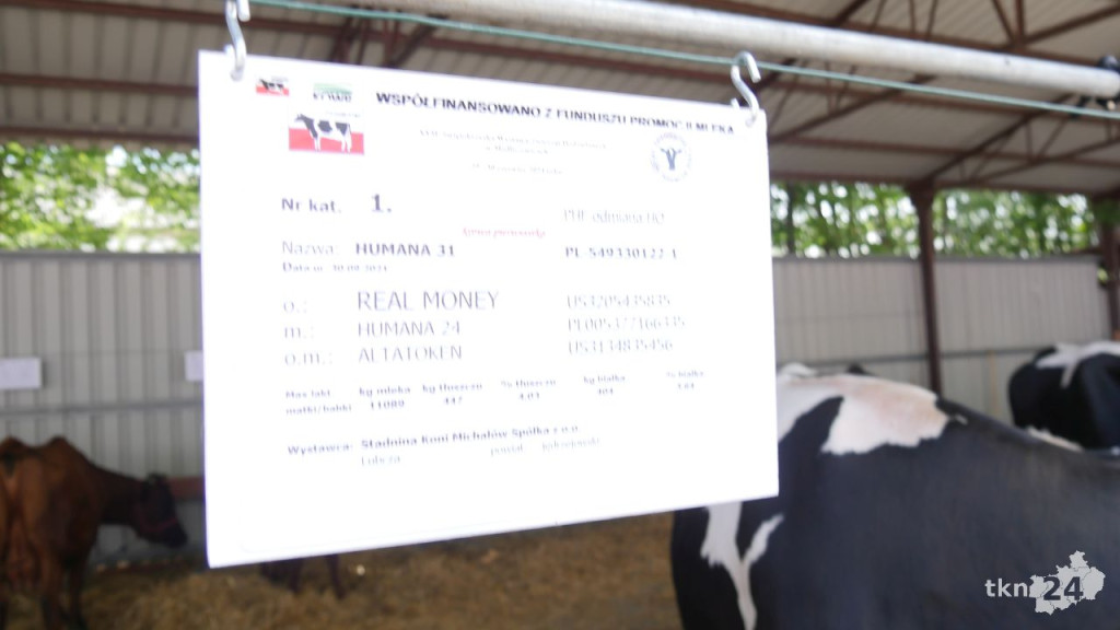 Tłumnie w ŚODR Modliszewice. Za nami dzień otwarty. Poznaliśmy czempiony [wideo, zdjęcia]