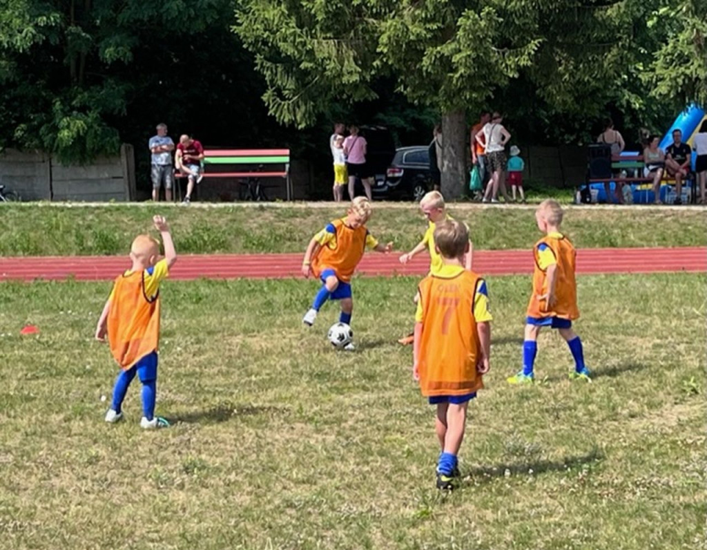 Sportowy piknik rodzinny w Rudzie Malenieckiej [zdjęcia]