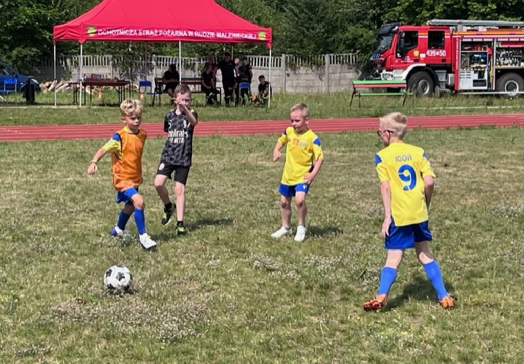 Sportowy piknik rodzinny w Rudzie Malenieckiej [zdjęcia]