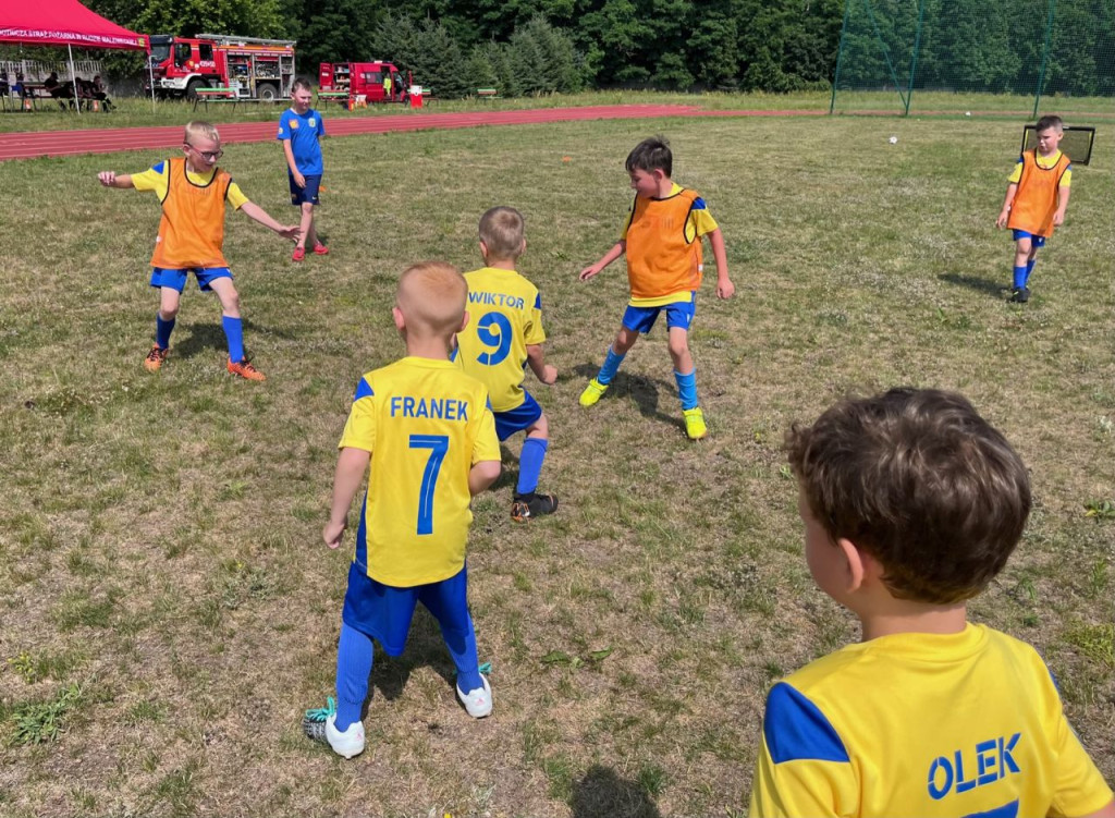 Sportowy piknik rodzinny w Rudzie Malenieckiej [zdjęcia]
