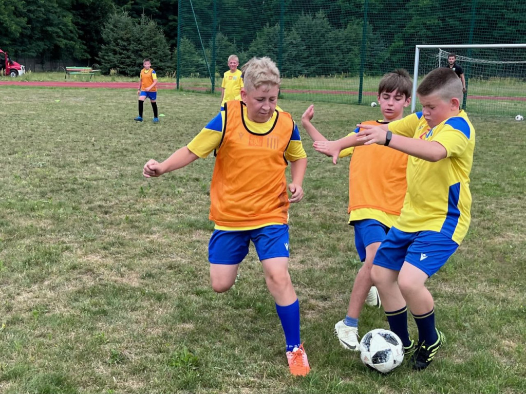 Sportowy piknik rodzinny w Rudzie Malenieckiej [zdjęcia]