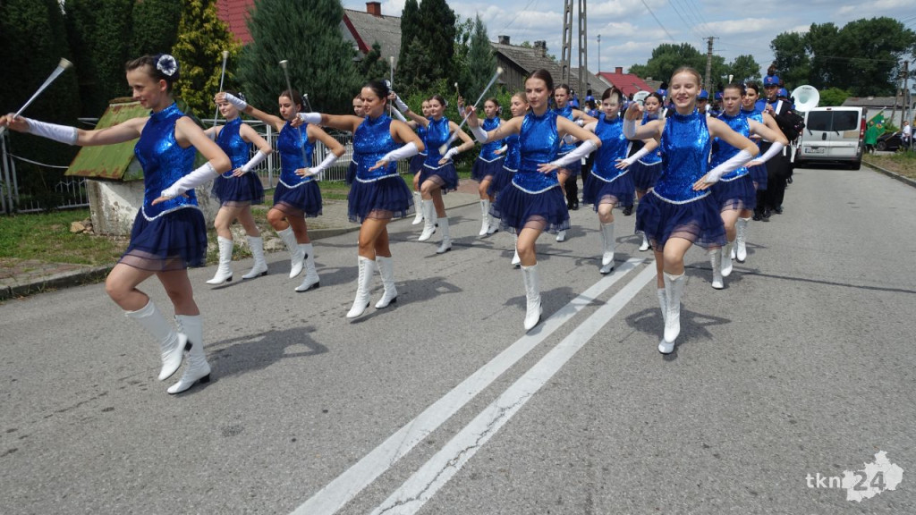 WIDEO: Wielkie pszczelarskie święto w Fałkowie [wideo, zdjęcia]