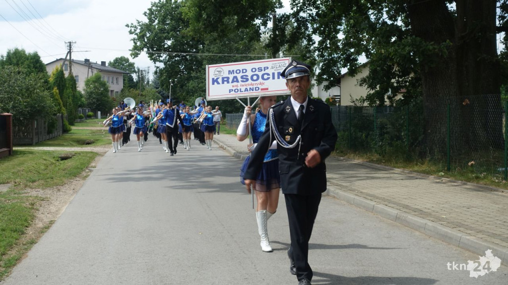 WIDEO: Wielkie pszczelarskie święto w Fałkowie [wideo, zdjęcia]