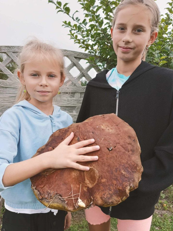 Super Grzyb z okolic Starej Kuźnicy. Ma prawie półtora kilograma! [zdjęcia]