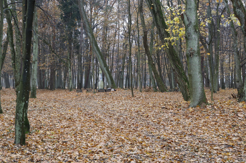 Zabytkowy park przy DPS `Etola` już po renowacji [zdjęcia]