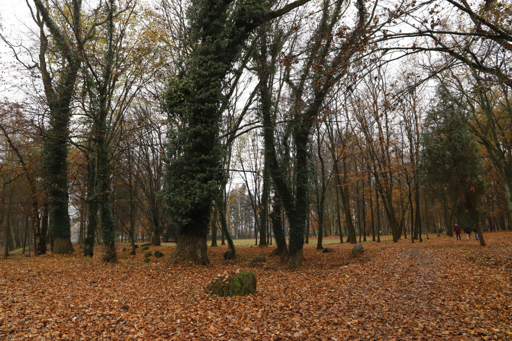 Zabytkowy park przy DPS `Etola` już po renowacji [zdjęcia]