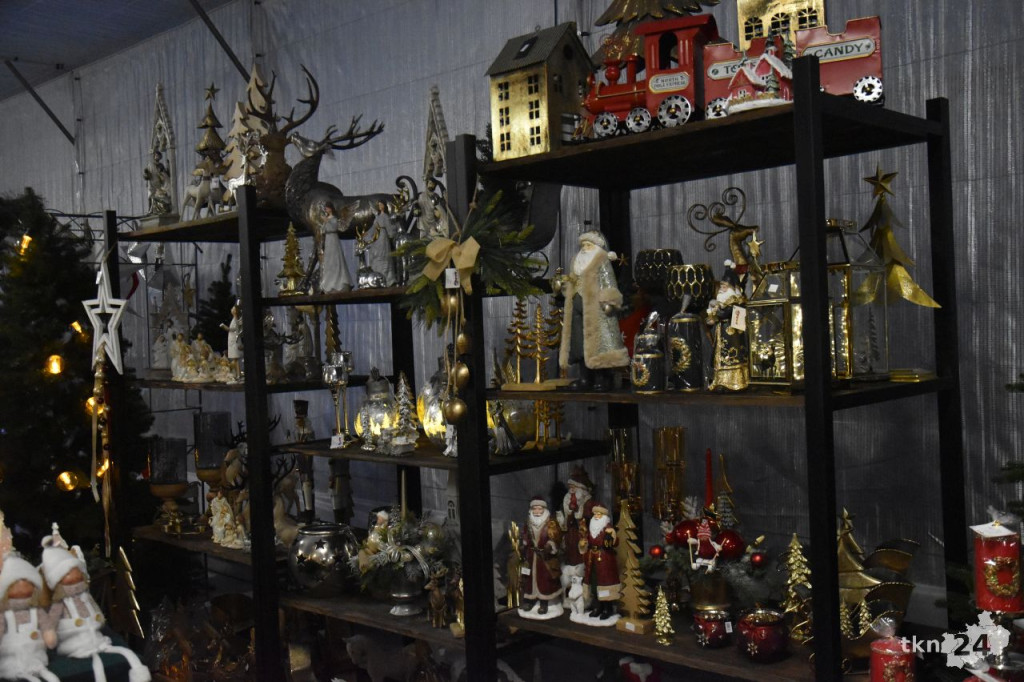 Wystrój dom na święta z Centrum Ogrodniczym Toskana w Końskich [wideo, zdjęcia]