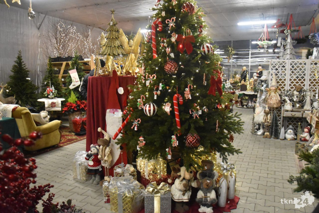 Wystrój dom na święta z Centrum Ogrodniczym Toskana w Końskich [wideo, zdjęcia]