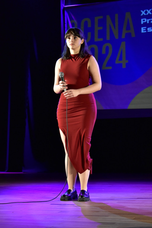 Scena 2024 rozstrzygnięta. Znamy laureatów [wideo, zdjęcia]