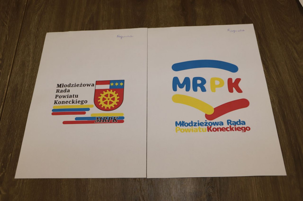 Młodzieżowa Rada Powiatu wybrała swoje logo podczas sesji [zdjęcia]