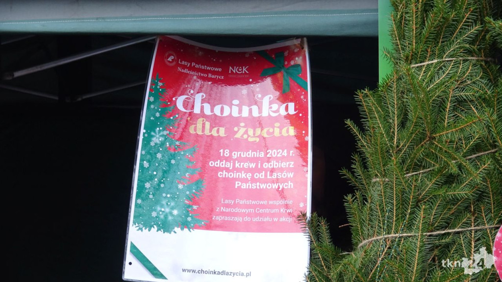 Krwiodawcy ponownie otrzymali choinki od leśników [wideo, zdjęcia]
