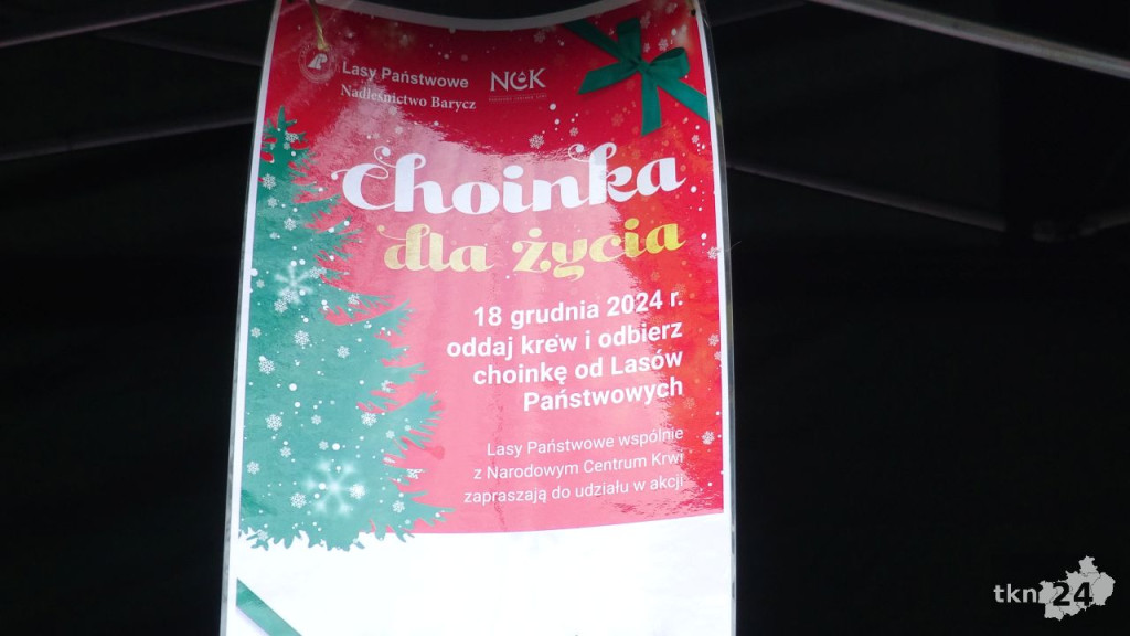 Krwiodawcy ponownie otrzymali choinki od leśników [wideo, zdjęcia]