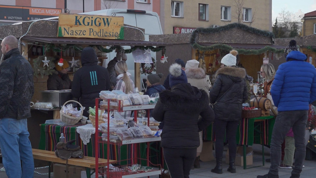 Choinki dla mieszkańców. Gmina i PGK rozdawały świąteczne drzewka [wideo, zdjęcia]