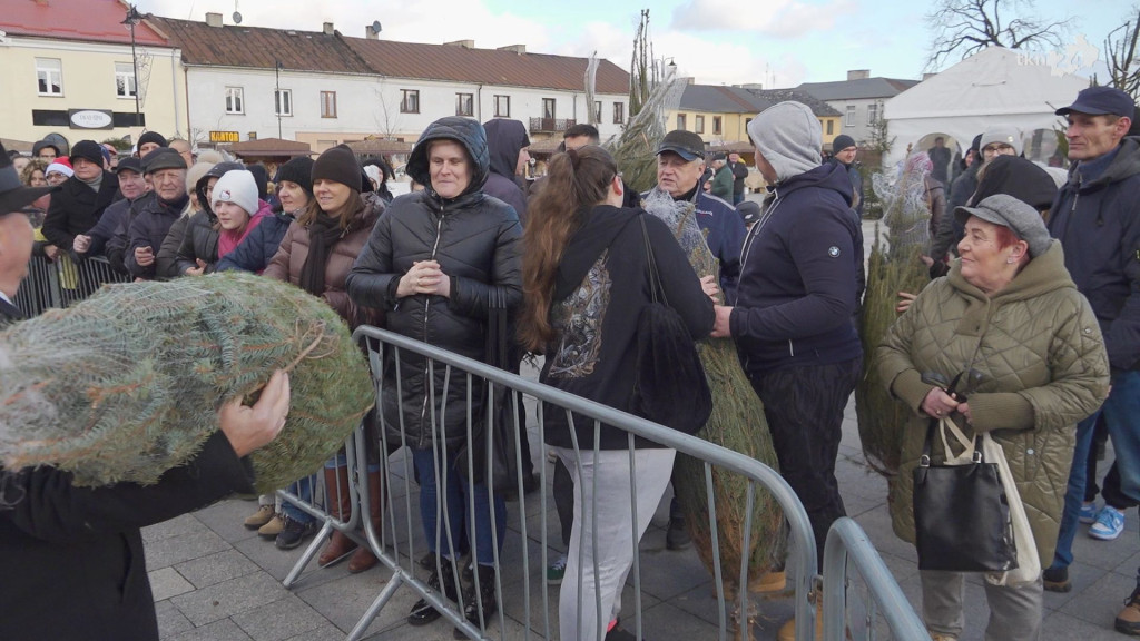 Choinki dla mieszkańców. Gmina i PGK rozdawały świąteczne drzewka [wideo, zdjęcia]