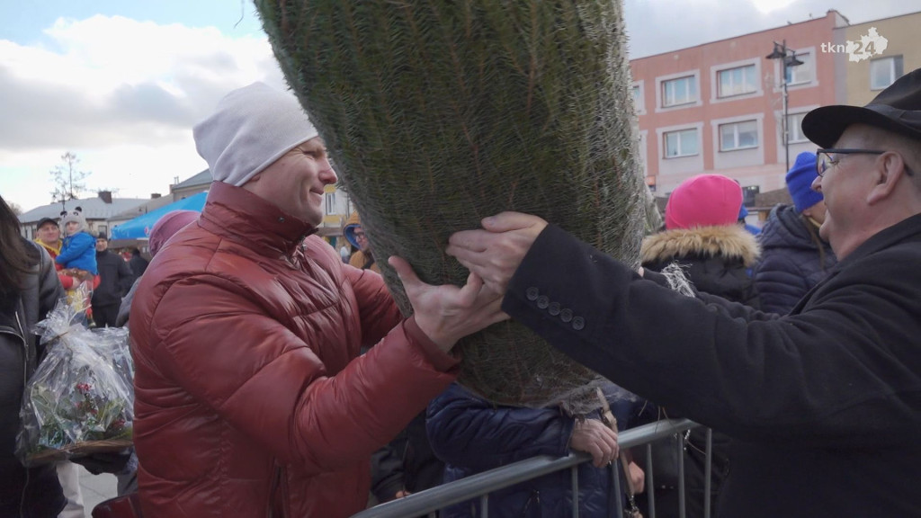 Choinki dla mieszkańców. Gmina i PGK rozdawały świąteczne drzewka [wideo, zdjęcia]
