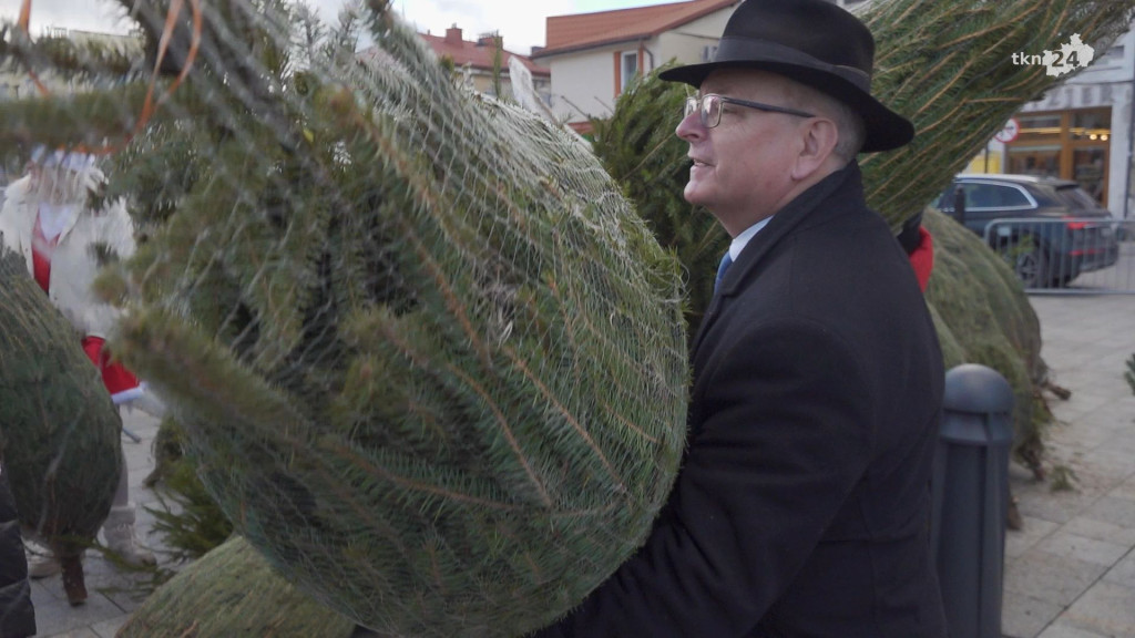Choinki dla mieszkańców. Gmina i PGK rozdawały świąteczne drzewka [wideo, zdjęcia]