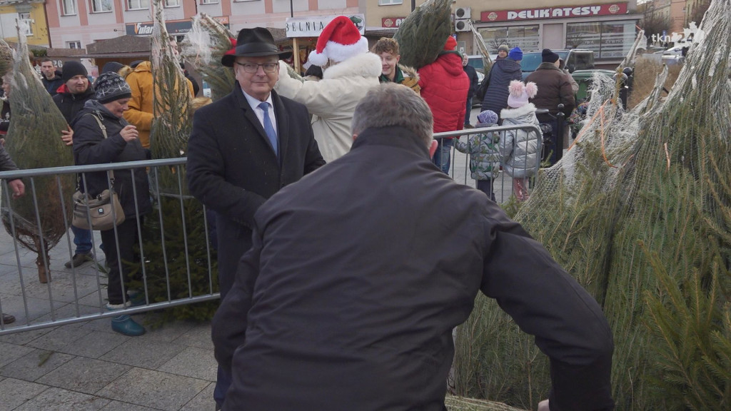Choinki dla mieszkańców. Gmina i PGK rozdawały świąteczne drzewka [wideo, zdjęcia]