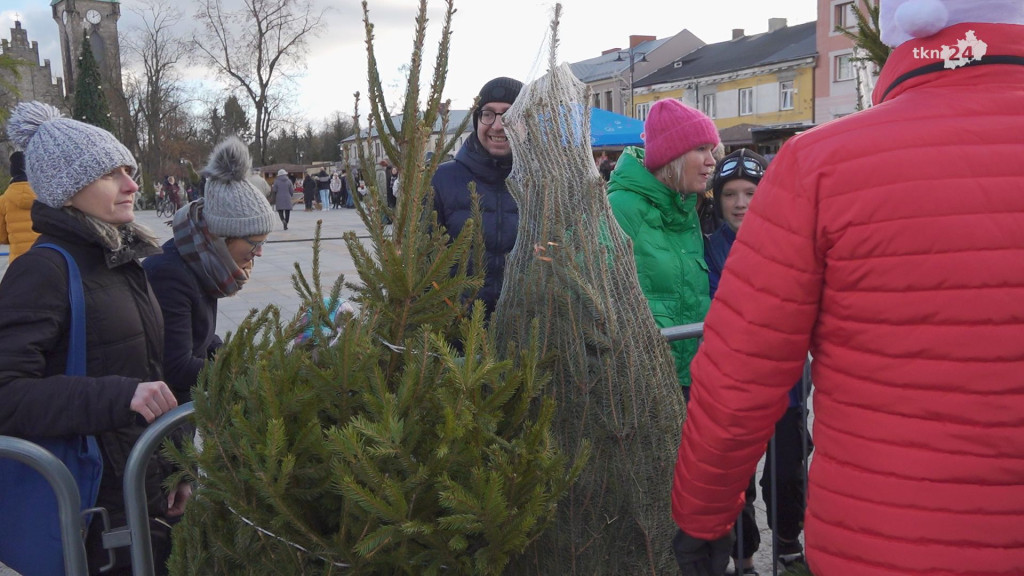 Choinki dla mieszkańców. Gmina i PGK rozdawały świąteczne drzewka [wideo, zdjęcia]