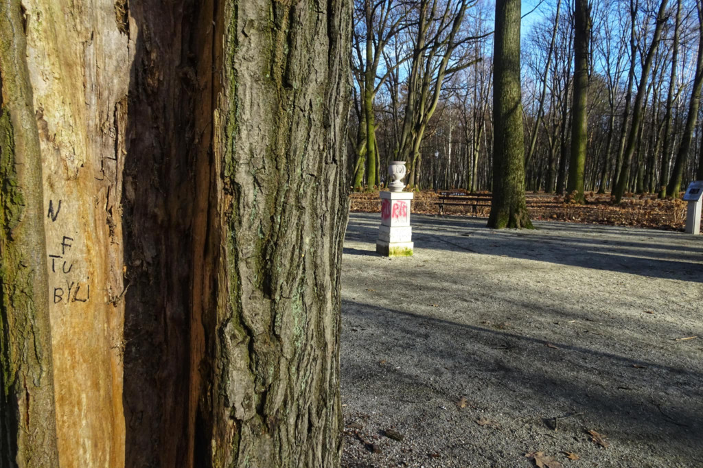 Wandalizm w Parku Miejskim w Końskich. Sprawca poszukiwany [wideo, zdjęcia]