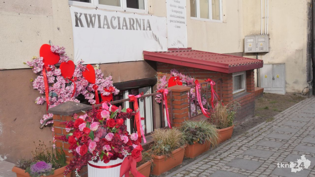 Walentynki z Frezją. Bogata oferta koneckiej kwiaciarni [zdjęcia]