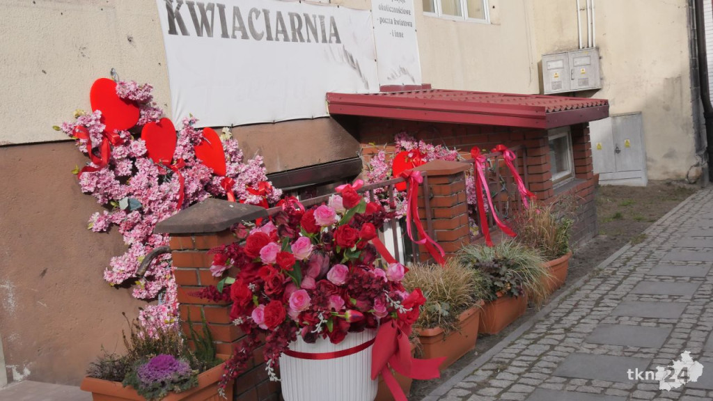 Walentynki z Frezją. Bogata oferta koneckiej kwiaciarni [zdjęcia]