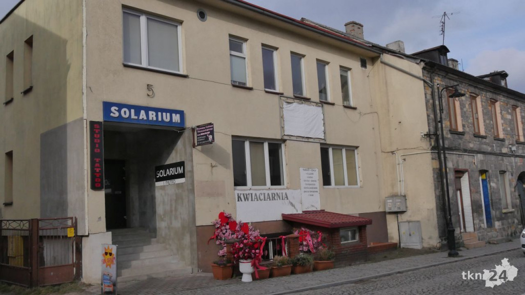 Walentynki z Frezją. Bogata oferta koneckiej kwiaciarni [zdjęcia]